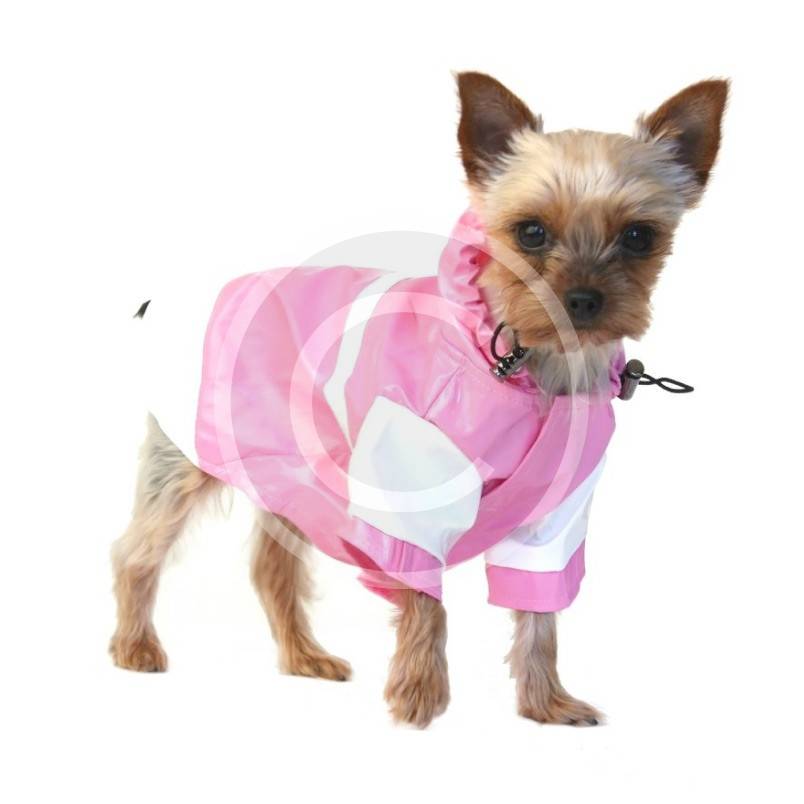 Dog-raincoat-2.jpg