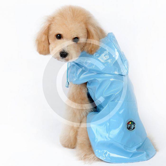 Dog-raincoat-3.jpg