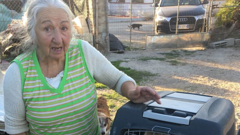 Unterstützung für Teresa