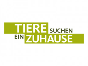 Tiere suchen ein Zuhause, Köln