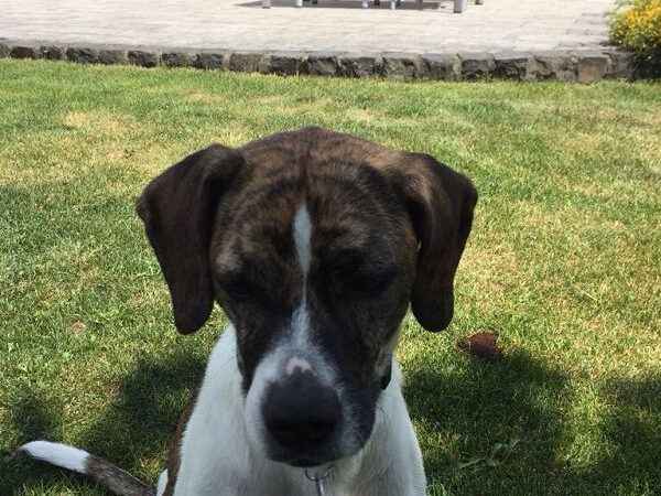 Eine tolle Idee und eine große Hilfe