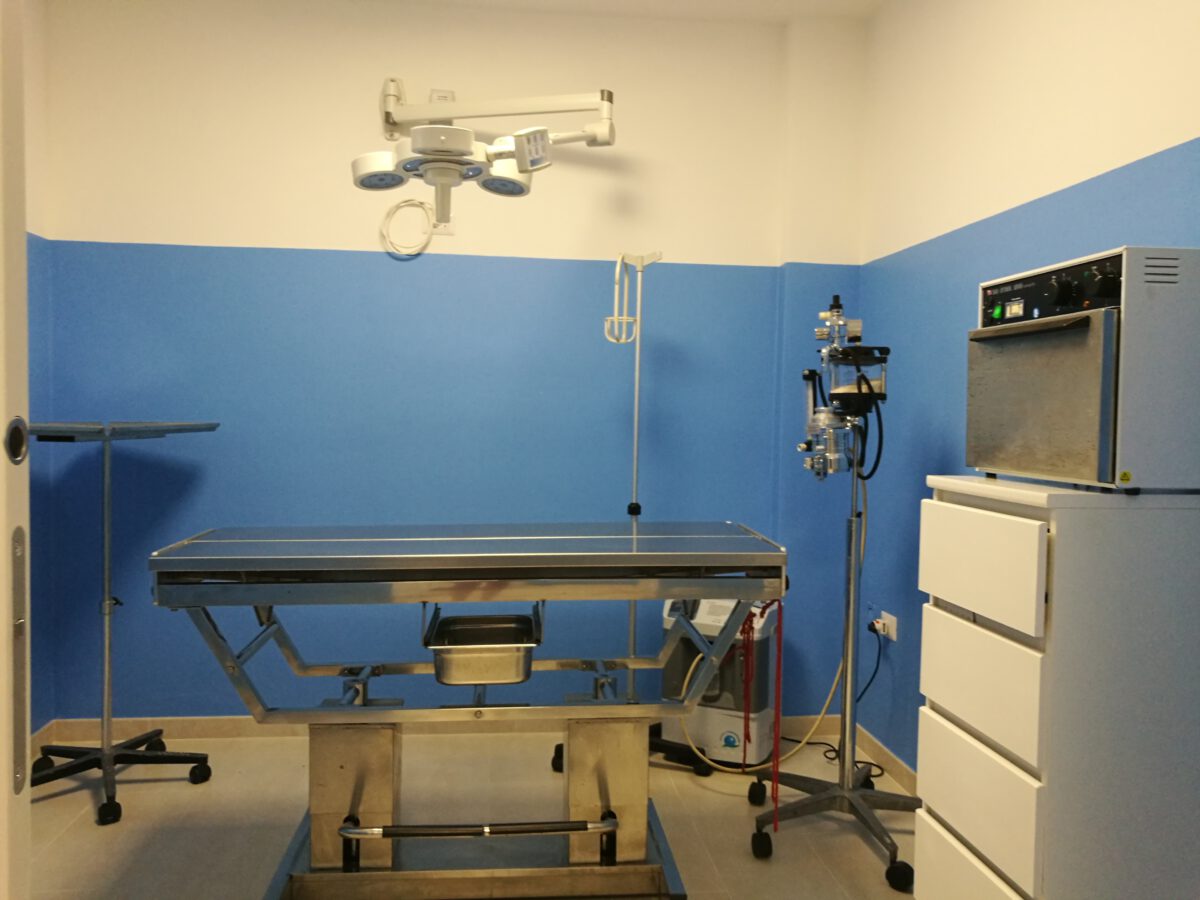 02.07.2017-neues-Ambulatorio-18.jpg