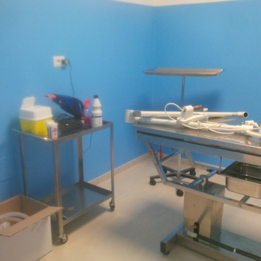 02.07.2017-neues-Ambulatorio-9.jpg