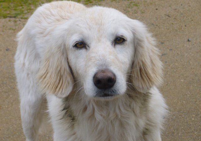 Immer wieder etwas Neues