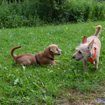 Cara und Magda