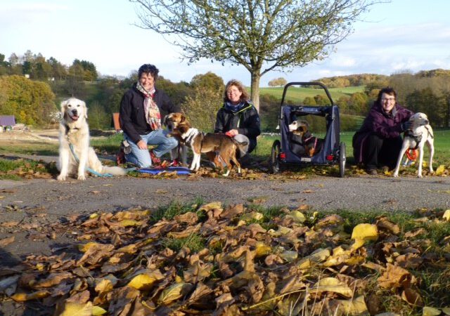 HundeRunden – Neue Termine