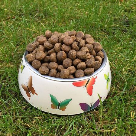 Wir sagen „Danke“ für Ihre Spenden