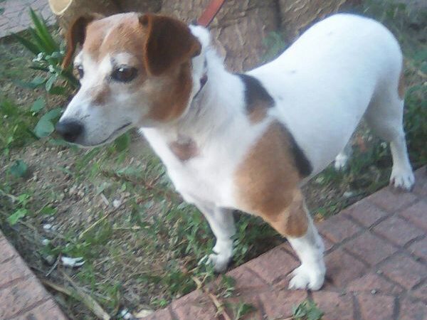 Neu in der Vermittlung