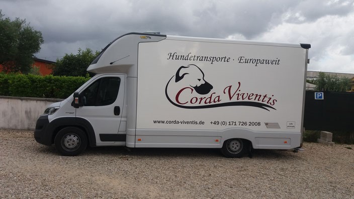 1 Jahr Hundetransport mit Corda Viventis