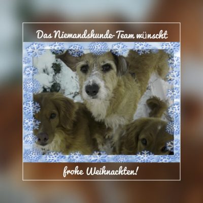 Frohe Weihnachten