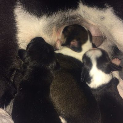 Neuigkeiten von der kleinen Familie