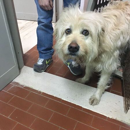 Kenia – es geht kaum schlimmer