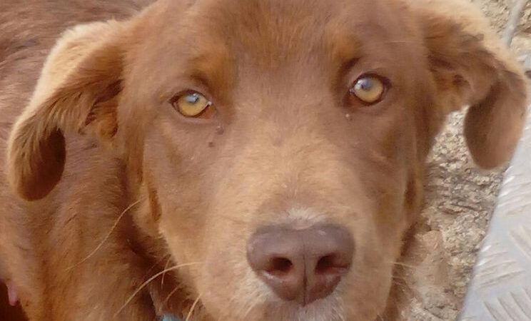 Glück für Marvin….