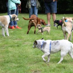 Sommerfest 2018