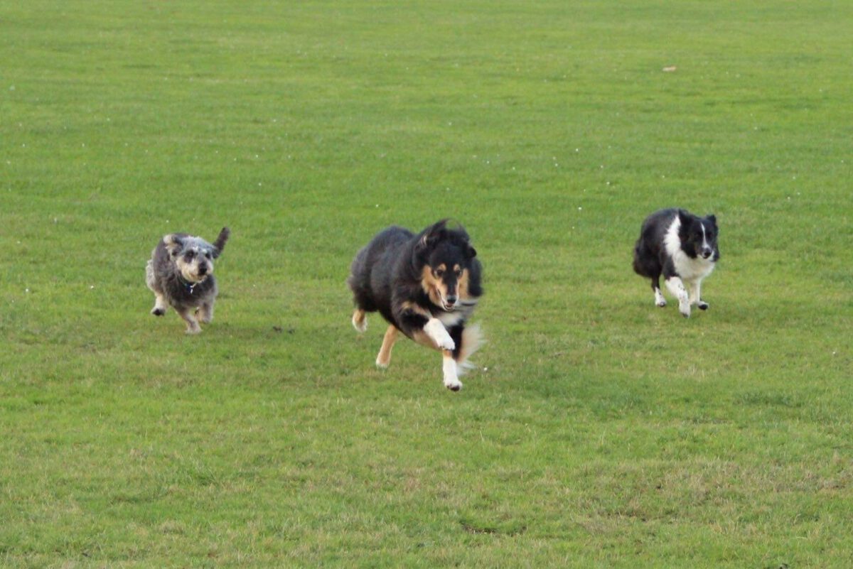 Krümel.jpg