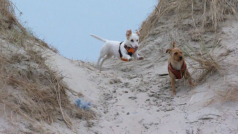 Sommerurlaubsbilder 2018