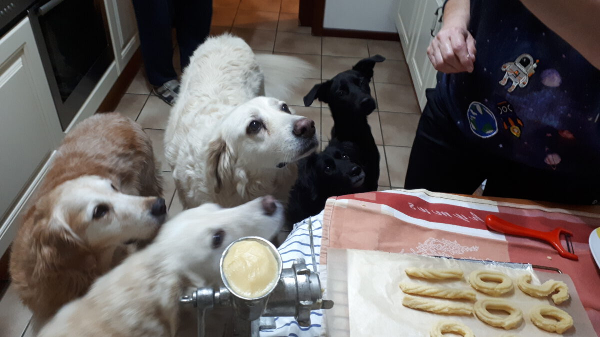 In der Weihnachtsbäckerei