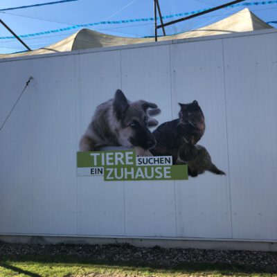 Aufzeichnung TSEZ 2019