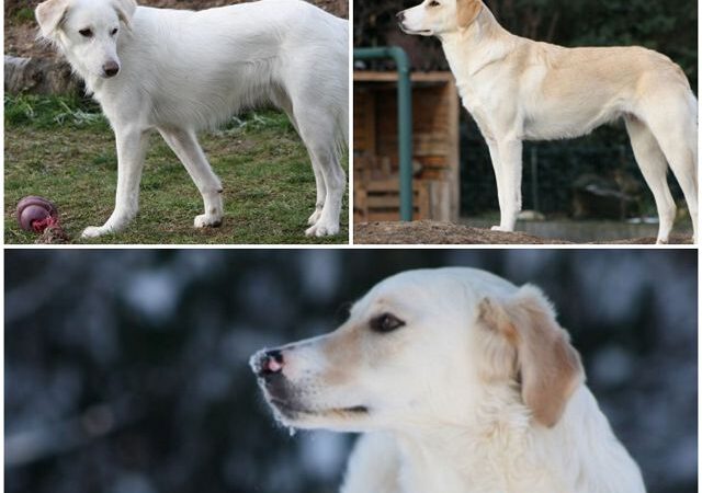 Warum will uns keiner?