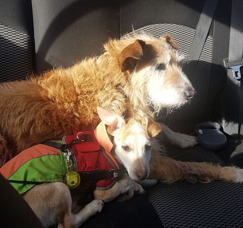 Liebe Grüße von Luke