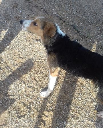 Neu in der Vermittlung