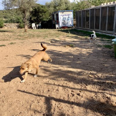 Reisebericht Sardinien 2019