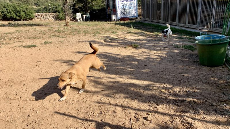 Reisebericht Sardinien 2019