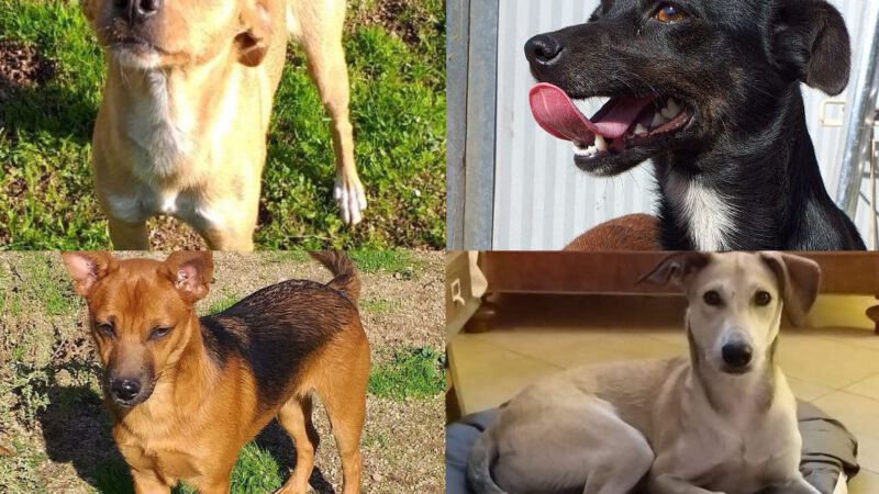 Transport angekommen