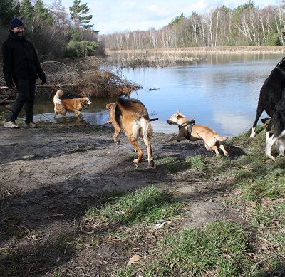 HundeRunde Eifel