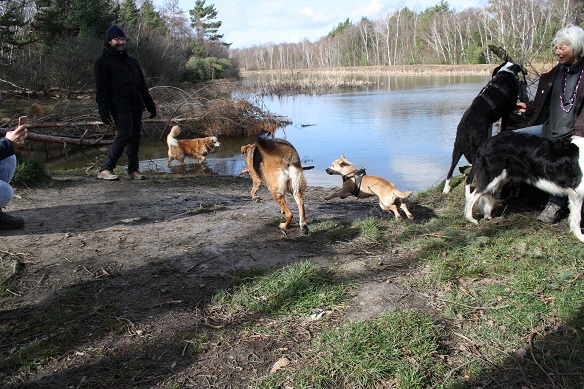 HundeRunde Eifel