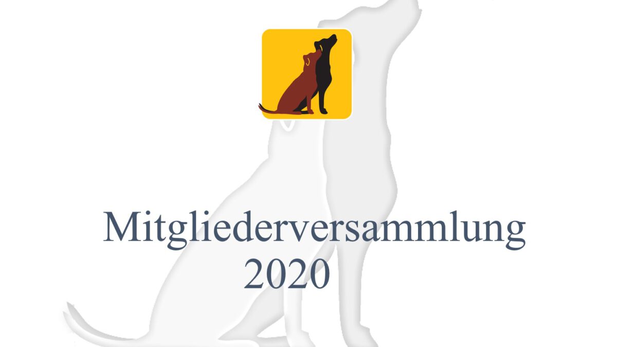 Mitgliedervers. 2020