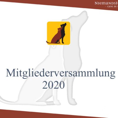 Mitgliedervers. 2020