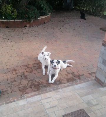Macchia und Nuvola