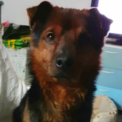 Neuer Schützling