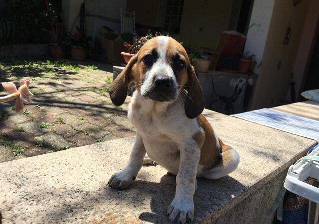 Marley