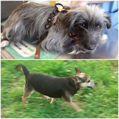 Nina und Milo