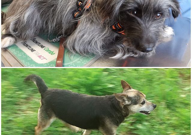 Nina und Milo