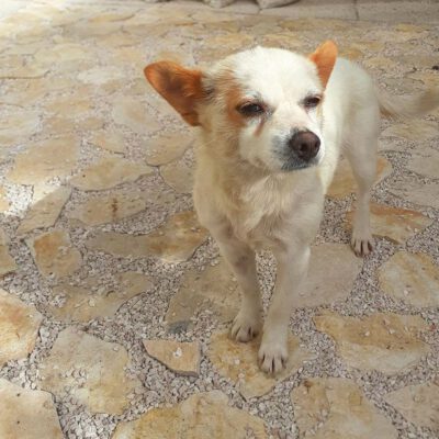 Matilde