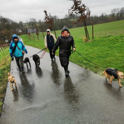 HundeRunde Düsseldorf