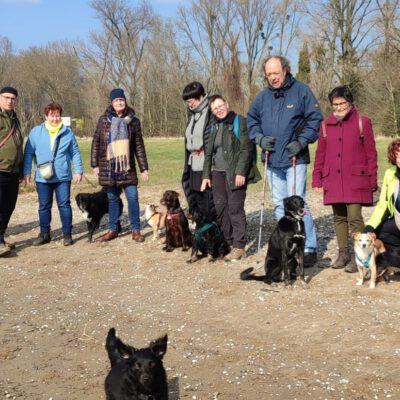 HundeRunde Düsseldorf