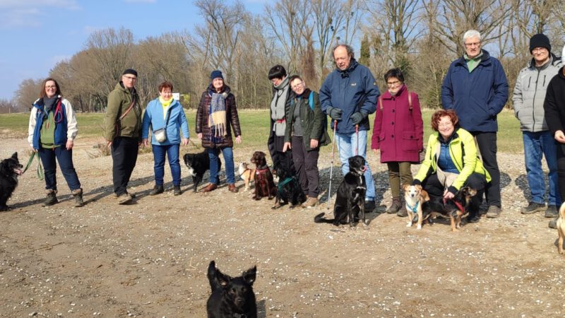 HundeRunde Düsseldorf