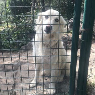 Telma