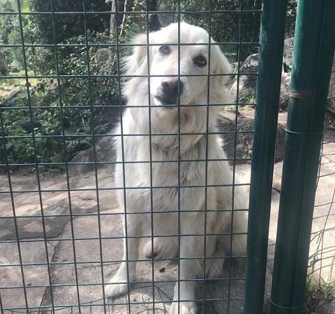 Telma