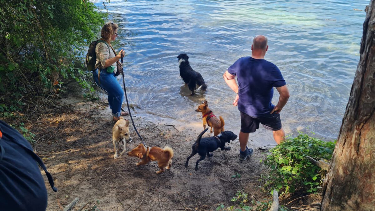 HundeRunde Düsseldorf