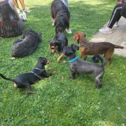 Sommerfest 2022