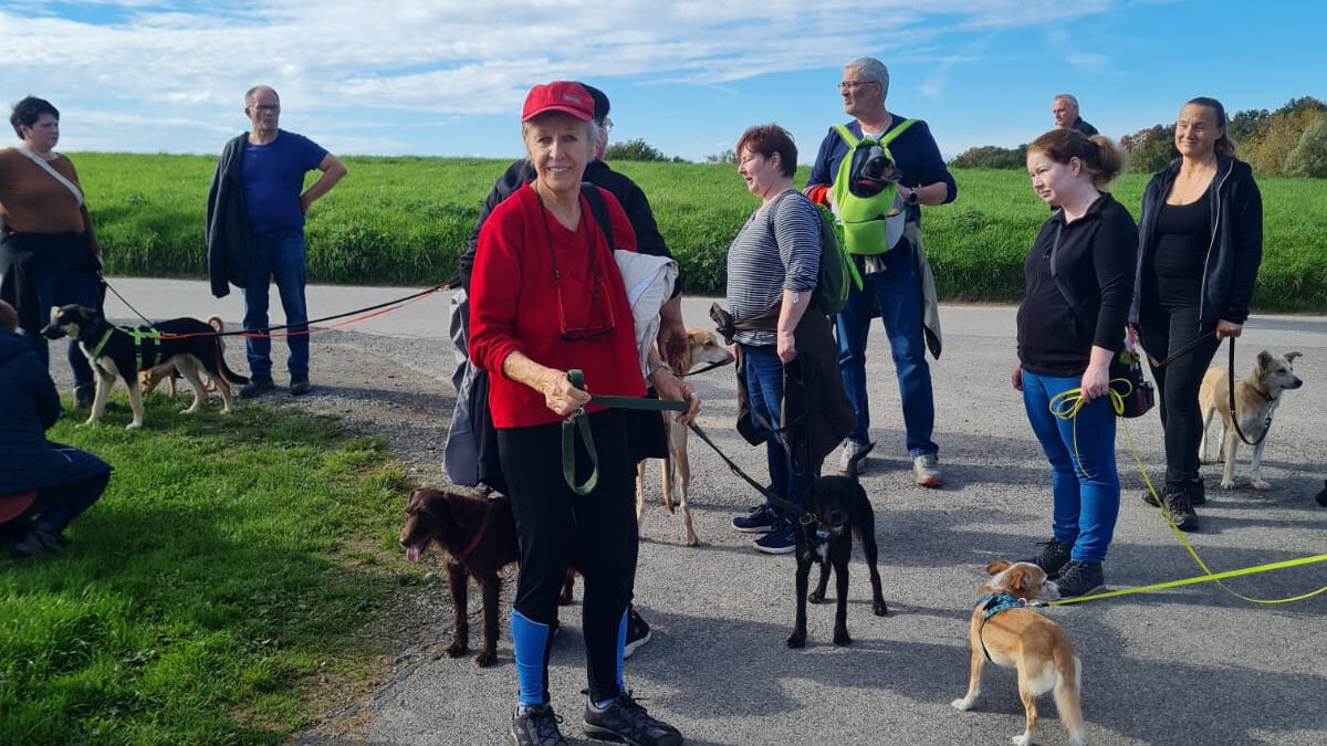 HundeRunde Düsseldorf