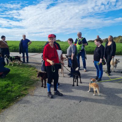 HundeRunde Düsseldorf