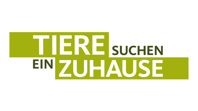 Niemandshunde bei „Tiere suchen ein Zuhause“