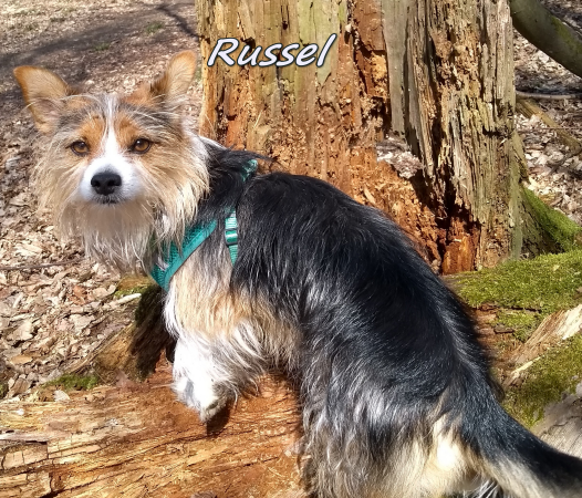 Russel