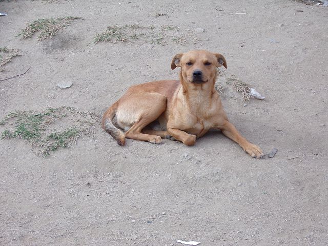 k-IMG-20240217-WA0011.jpg